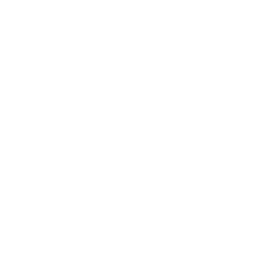 VISIT ICHINOMIYA LOGO