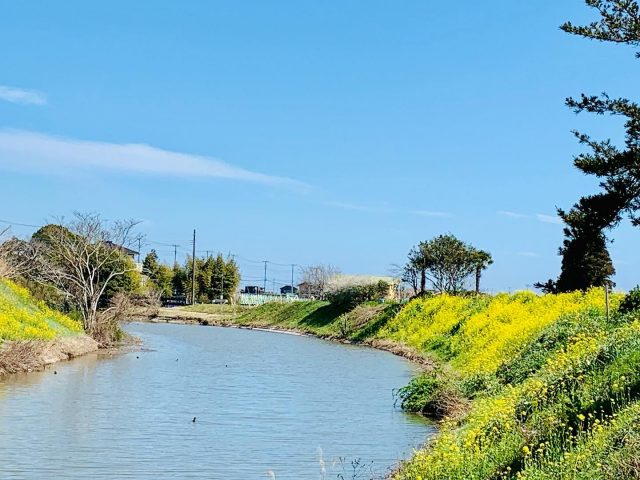 千葉県長生郡上総一ノ宮の観光情報や一宮発着現地ツアー情報 いちのみや観光局運営